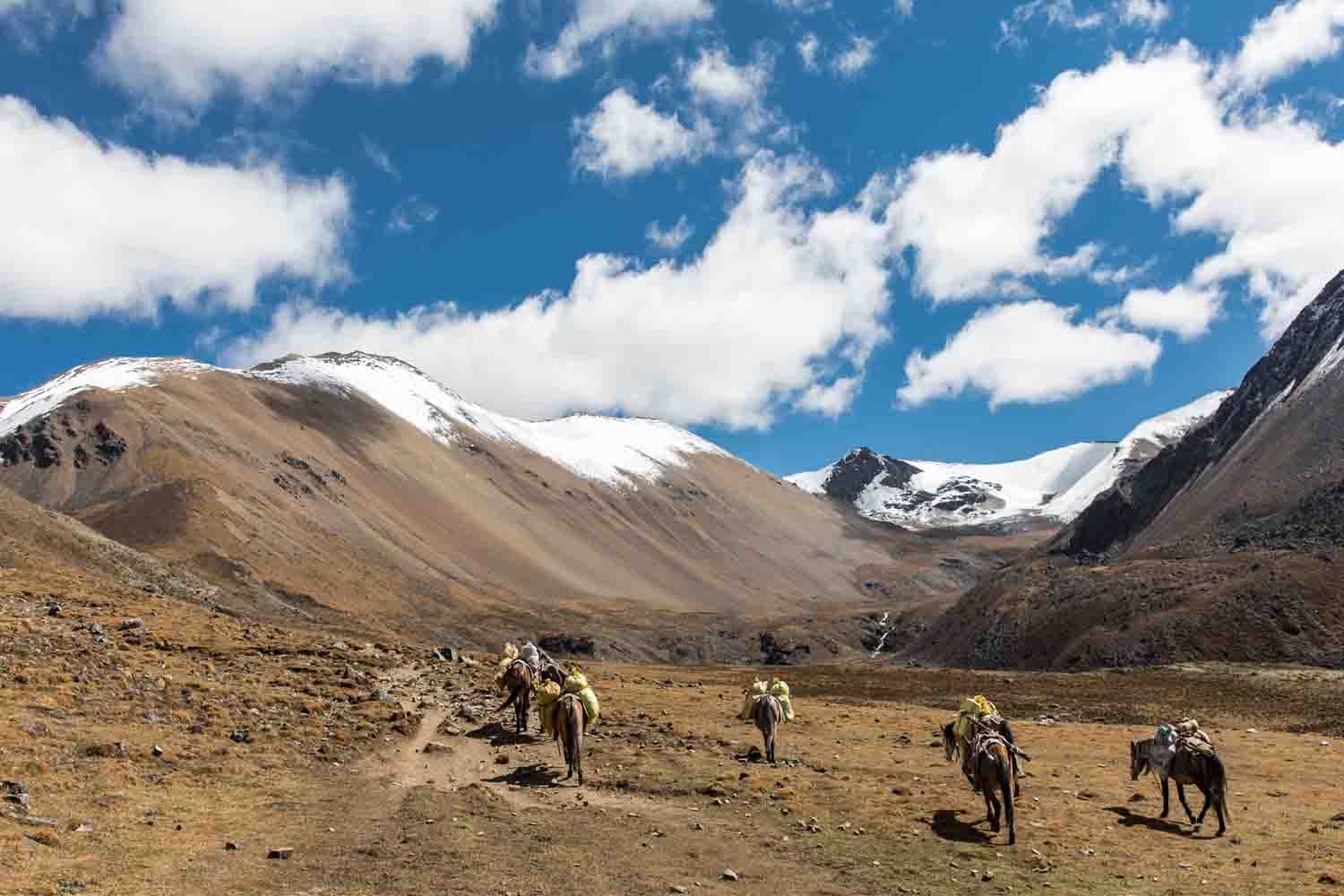 Laya Gasa Trek in Bhutan 